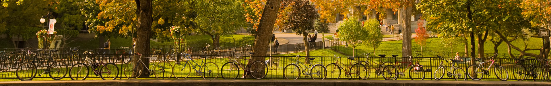 Bikes on lower campus