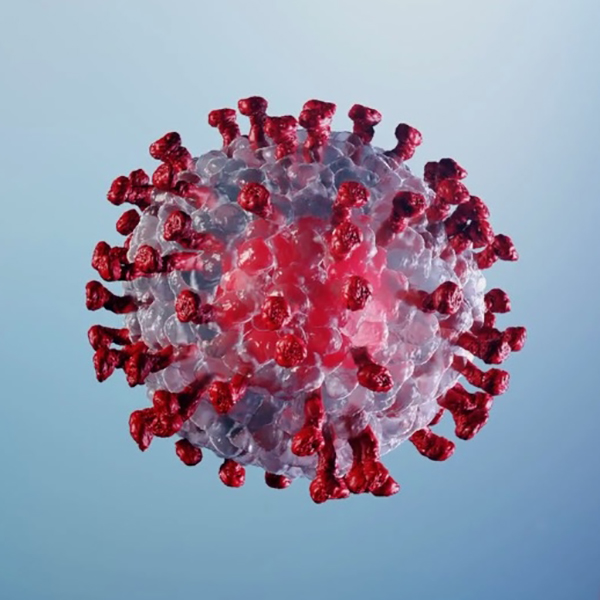 Graphic representation of a virus