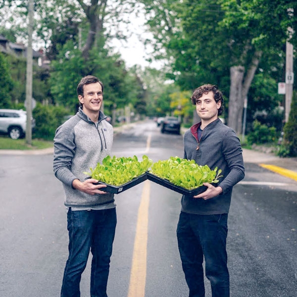 Photo of Tristan Zeman and Jonnie Lawson holding lettuce