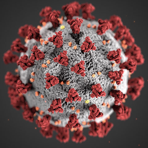 A close-up of a virus molecule in red and black and white