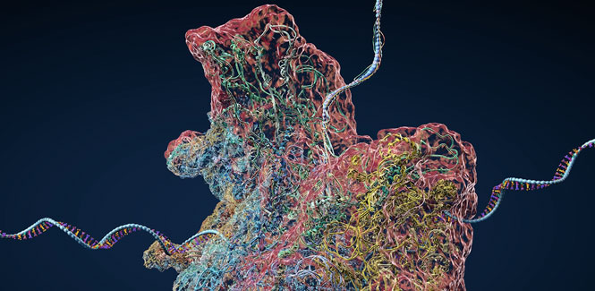 A close-up of a multicolored DNA segment